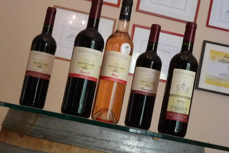 Weinprobe direkt beim Winzer in der Provence Bild: Weinprobe direkt beim Winzer in der Provence