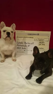 Bild: Die Berliner Tiertafel e.V. freut sich über 10.931 Euro von „zoolove by zooplus“