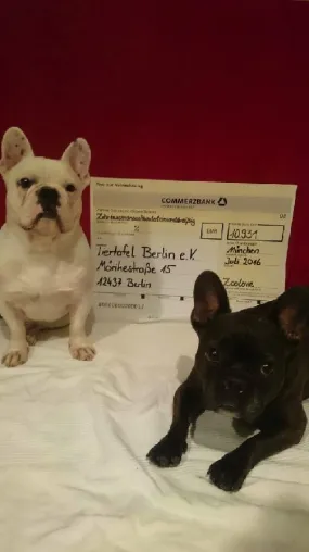 Bild: Die Berliner Tiertafel e.V. freut sich über 10.931 Euro von „zoolove by zooplus“