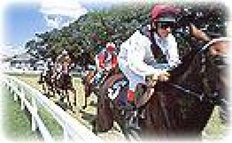 Bild: „Bad Harzburger Galopprennwoche“ 12.07.-22.07.2007