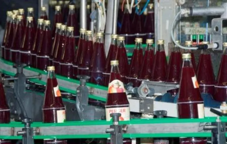 Bild: Investition in eine klimafreundliche Zukunft