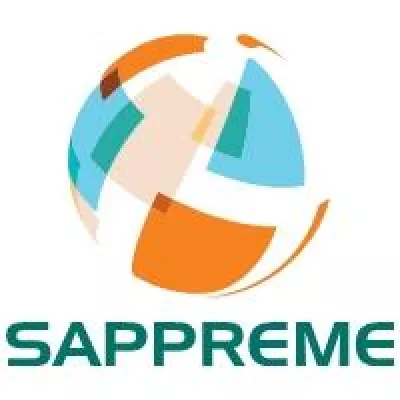 Bild: Neuer internationaler SAP-Dienstleister