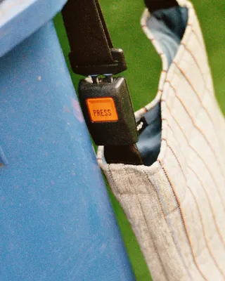 Bild: Rücksitz-Taschen und RockStars von ZEBRAtOD