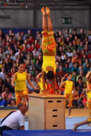 Bild: 13. Welt-Gymnaestrada in Dornbirn – come together, be one