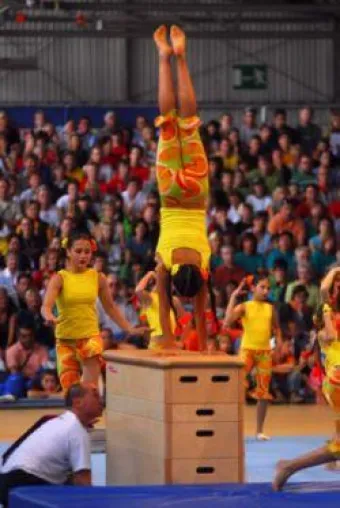 Bild: 13. Welt-Gymnaestrada in Dornbirn – come together, be one