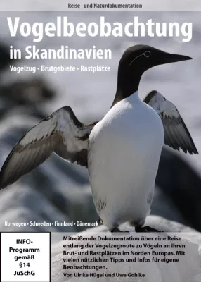 Bild: Faszinierende Vogelwelt