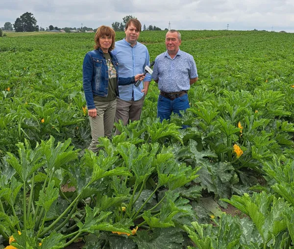 Bild: floraPell erschließt erfolgreich den polnischen Biomarkt mit innovativem Schafwolldünger