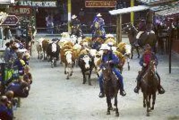 Bild: Das Passauer Land in Bayern bietet spannenden Familienurlaub für Groß und Klein