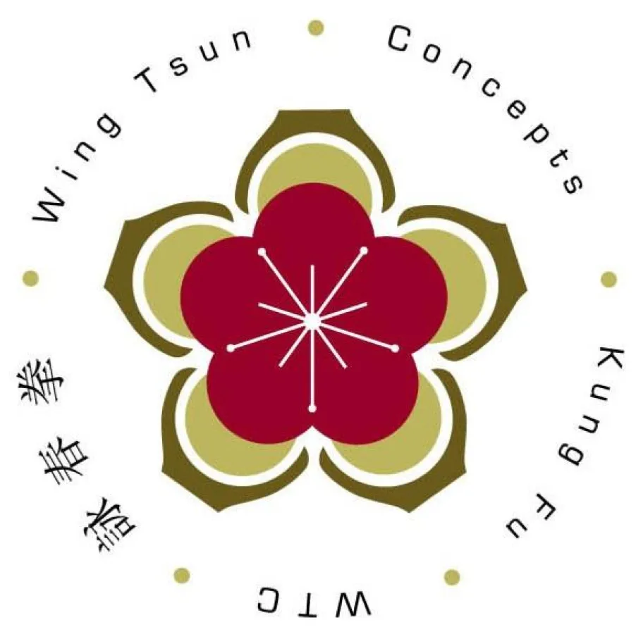 Wing Tsun Concepts