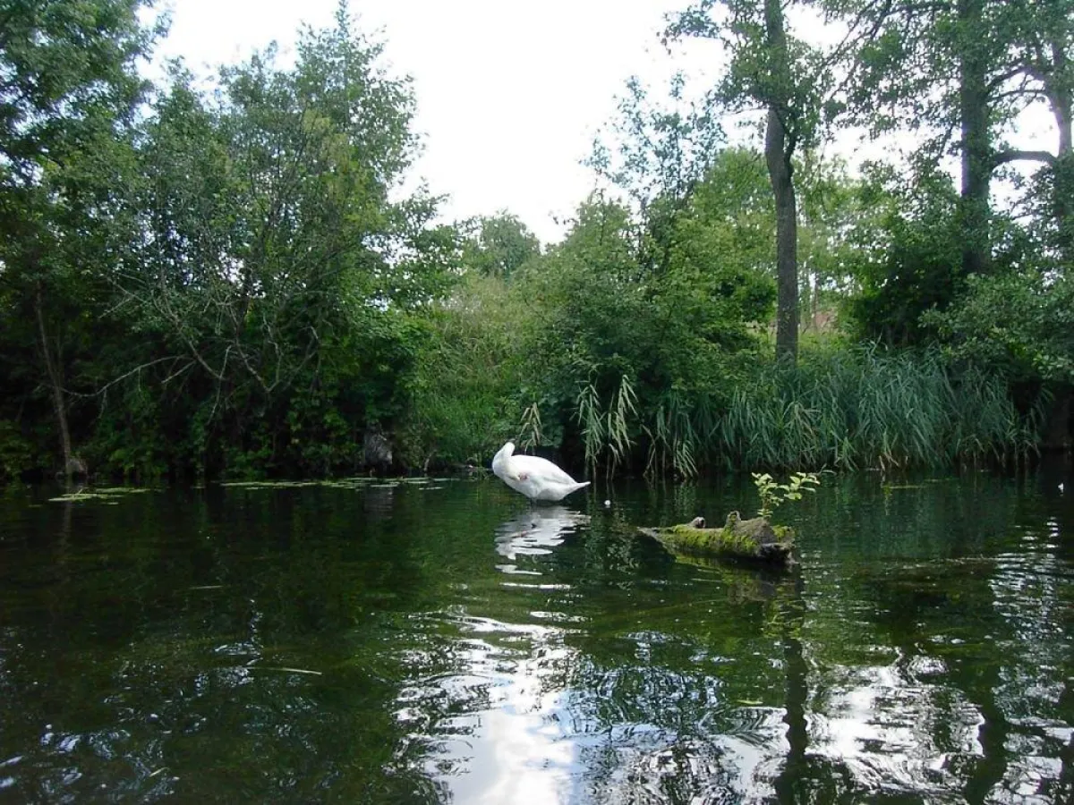 Urlaub in der Natur - zum Beispiel in Masuren