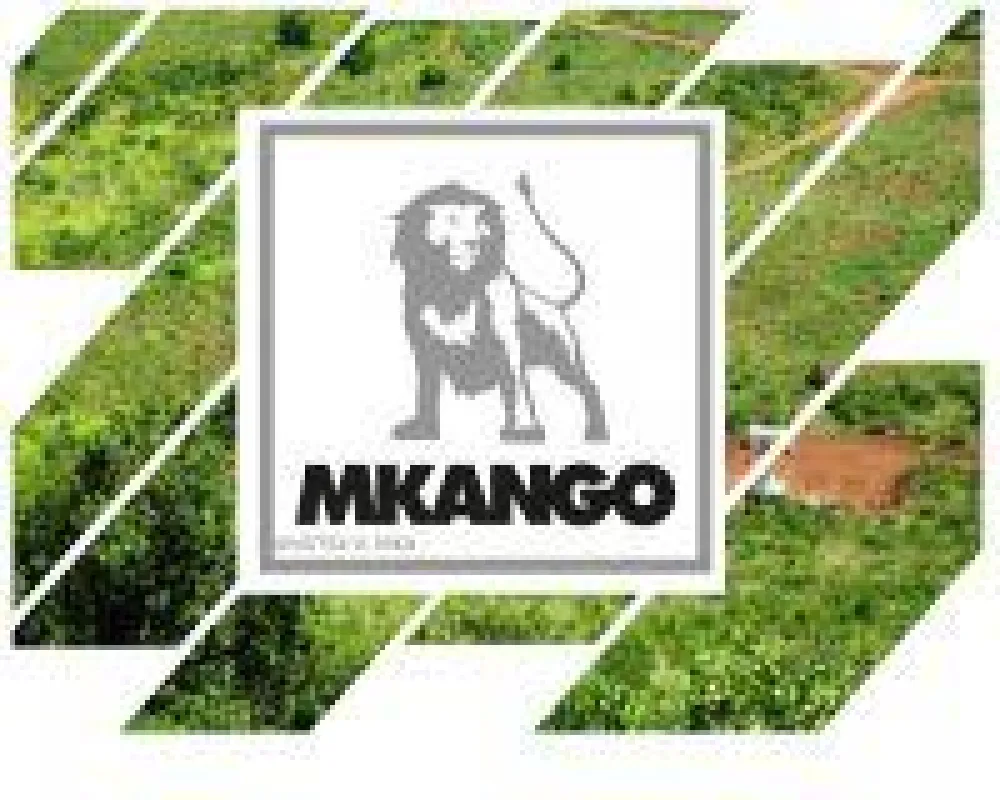 Quelle: Mkango Resources Ltd.