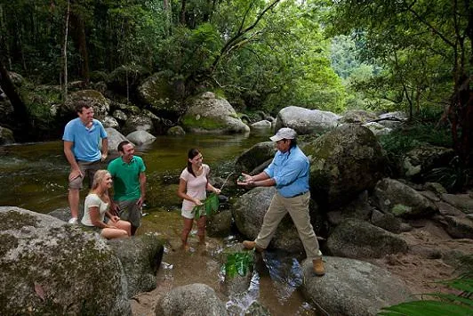 Aborigines eröffnen Besucherzentrum und bieten neue Touren durch Regenwald an Bild: Aborigines eröffnen Besucherzentrum und bieten neue Touren durch Regenwald an
