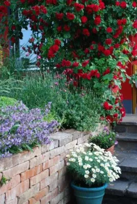 Krisensicherer Urlaub - das eigene Grundstück zum Ferienparadies gestalten Bild: Krisensicherer Urlaub - das eigene Grundstück zum Ferienparadies gestalten