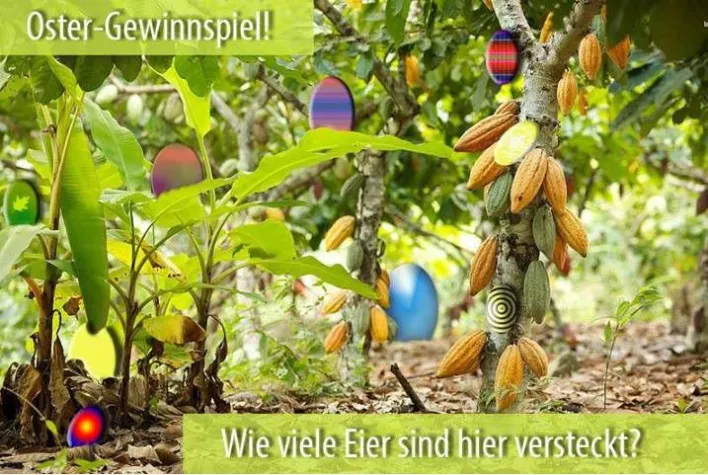 Bild: ForestFinance verlost Kinokarten „Amazonia – Abenteuer im Regenwald“