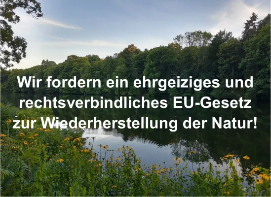 Bild: Ein ehrgeiziges EU-Gesetz zur Wiederherstellung der Natur - Erklärung von Unternehmen und Verbänden