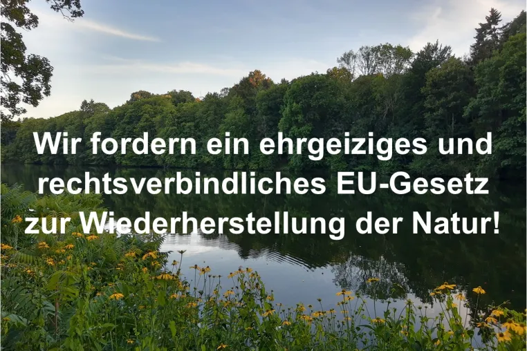 Bild: Ein ehrgeiziges EU-Gesetz zur Wiederherstellung der Natur - Erklärung von Unternehmen und Verbänden