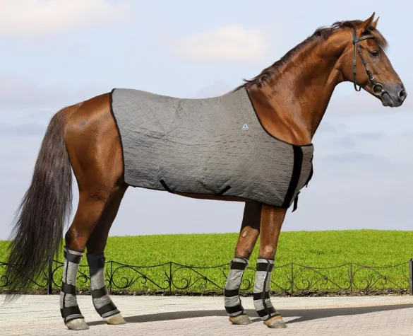 Bild: Erfolgreich im Reitsport: HYPERKEWL Funktionstextilien zur Kühlung