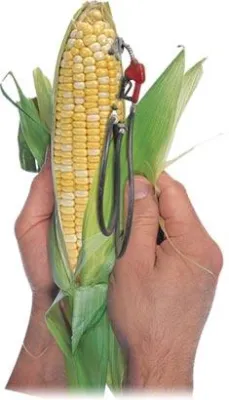 Bild: Die neue Energiekrise, Hauptthema beim Alltech Symposium