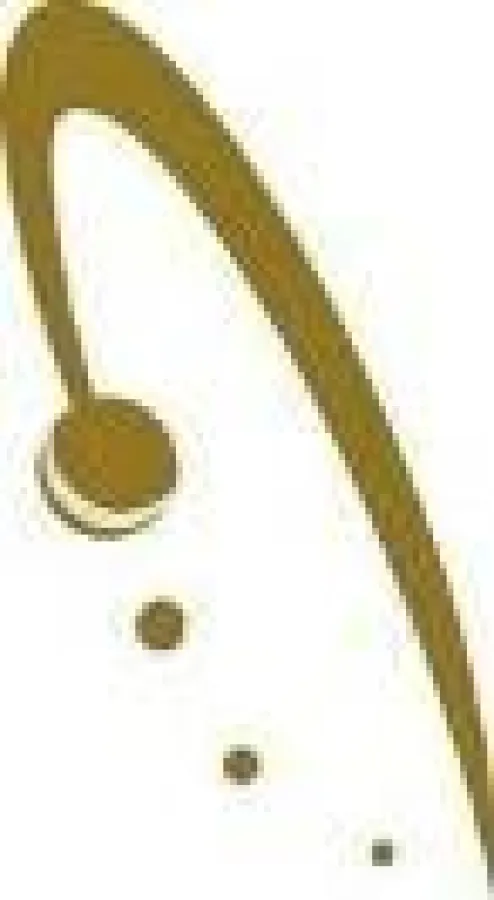 Firmenlogo von Agens WFI Inkasso