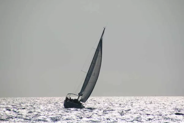 Bild: Maritime Incentives & Events sind GRÜN