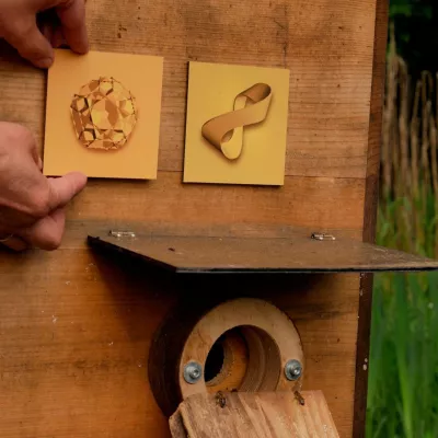 Bild: Bienen stärken mit Heilkraft: Initiative Honigliebling zur natürlichen Bienenhaltung