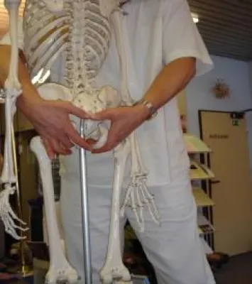 Bild: Die Wirbeltherapie nach DORN in Lindau im Bodensee am 9./10.11.2007 in kleiner Gruppe lernen