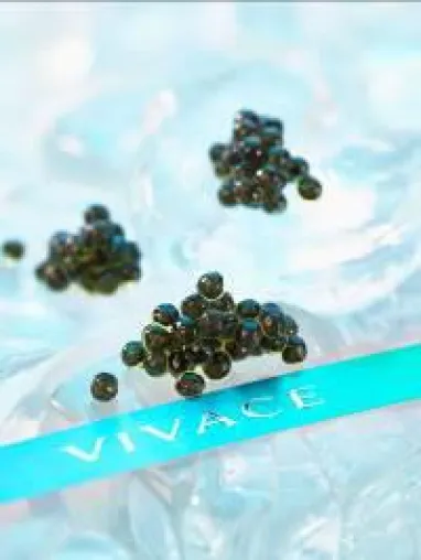 Bild: Vivace Correct Caviar - Kaviar ohne Blutvergießen - Forscherin lässt Störe leben