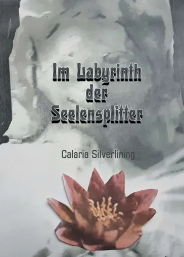 Bild: Im Labyrinth der Seelensplitter - Ausgewählte Sammlung moderner Gedichte