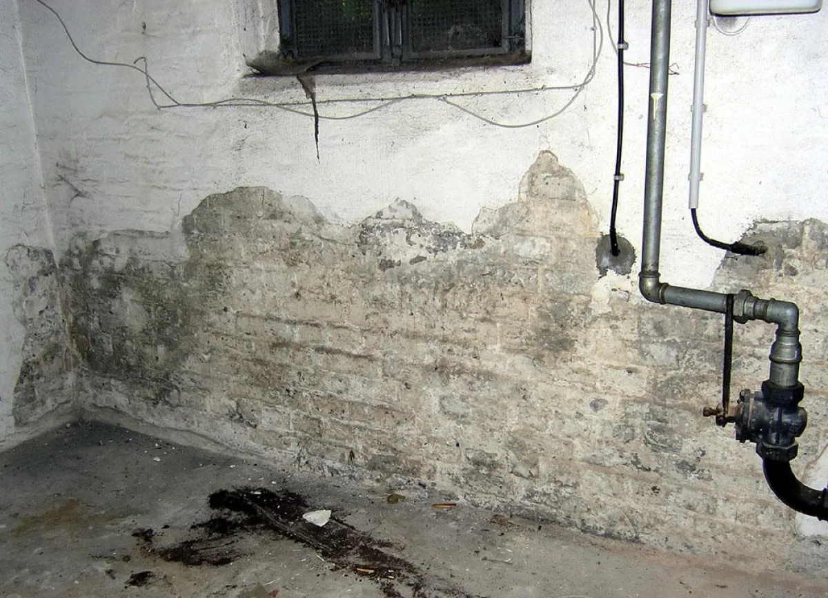 Feuchtigkeitsschäden durch vertikal und horizontal eindringendes Wasser von außen. DomoLytik führt eine genaue Ursachenanalyse durch und gibt Sanierungsempfehlungen.