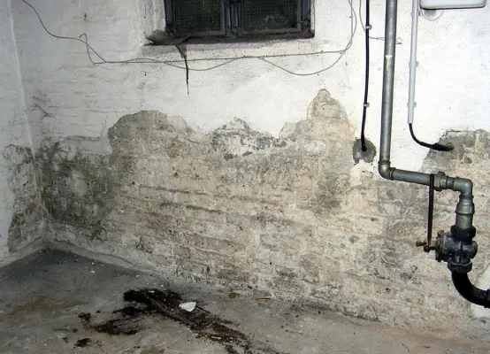 Bild: Feuchtigkeitsschäden im Keller - Teure Sanierung nicht immer ein Muss