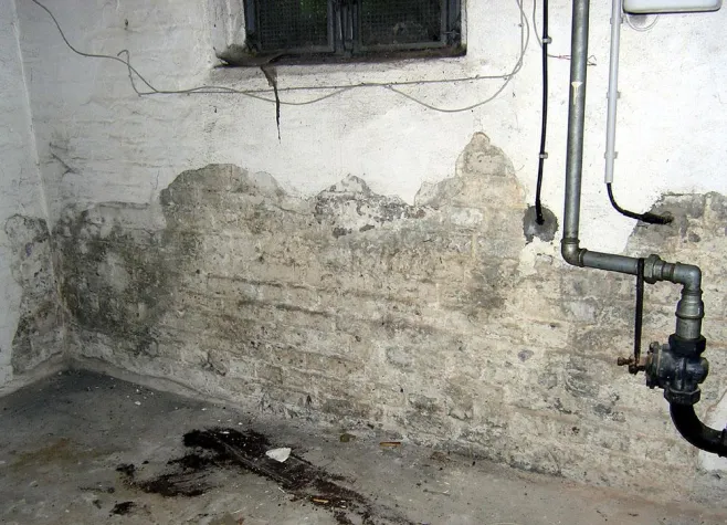 Feuchtigkeitsschäden im Keller - Teure Sanierung nicht immer ein Muss Bild: Feuchtigkeitsschäden im Keller - Teure Sanierung nicht immer ein Muss