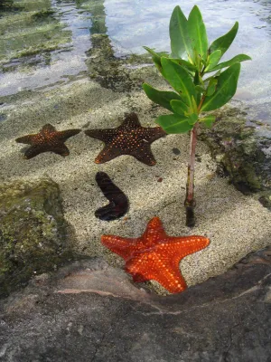 Bild: Sonderaktion von Casa Bruno am 5. Juni 2019 (Weltumwelttag)