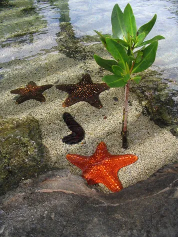 Bild: Sonderaktion von Casa Bruno am 5. Juni 2019 (Weltumwelttag)