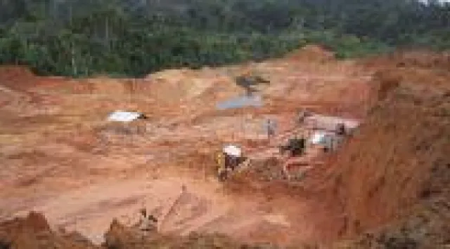 Bild: Gold und Platin zur Beruhigung der Nerven