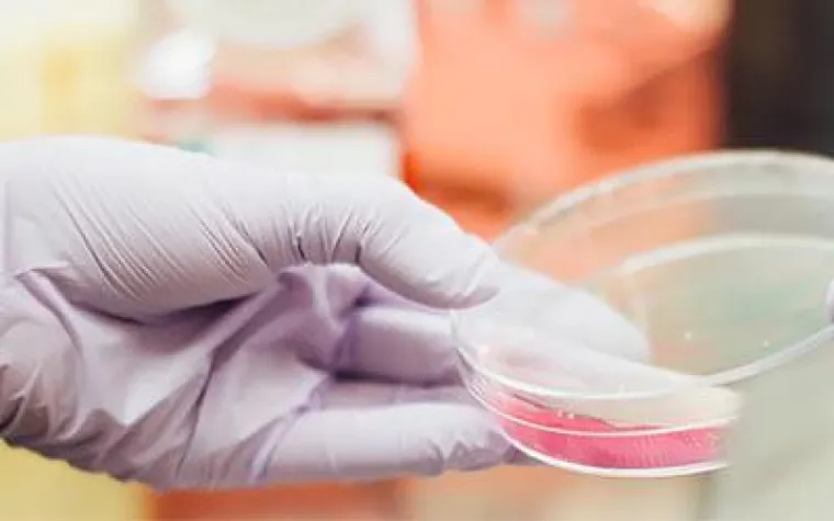 Bild: Alle Informationen zu Inkubatoren