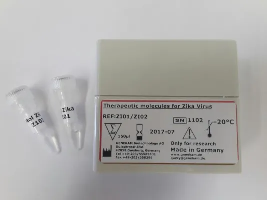 Bild: Weltneuheit: erstes therapeutisches Molekül gegen den Zika Virus