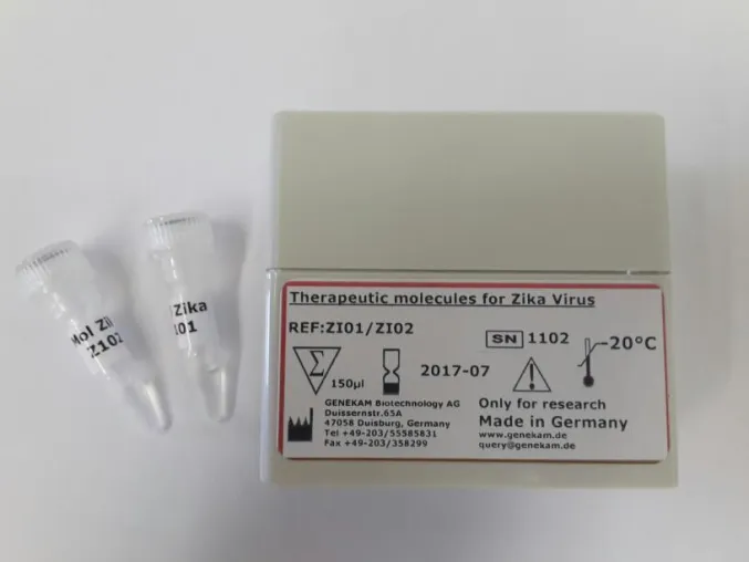 Weltneuheit: erstes therapeutisches Molekül gegen den Zika Virus Bild: Weltneuheit: erstes therapeutisches Molekül gegen den Zika Virus