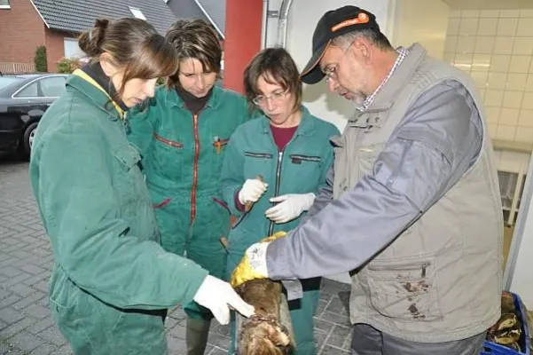 Bild: Agrar- und Veterinär- Akademie (AVA) arbeitet im Sinne des 25. deutschen Tierärztetages in Saarbrücken