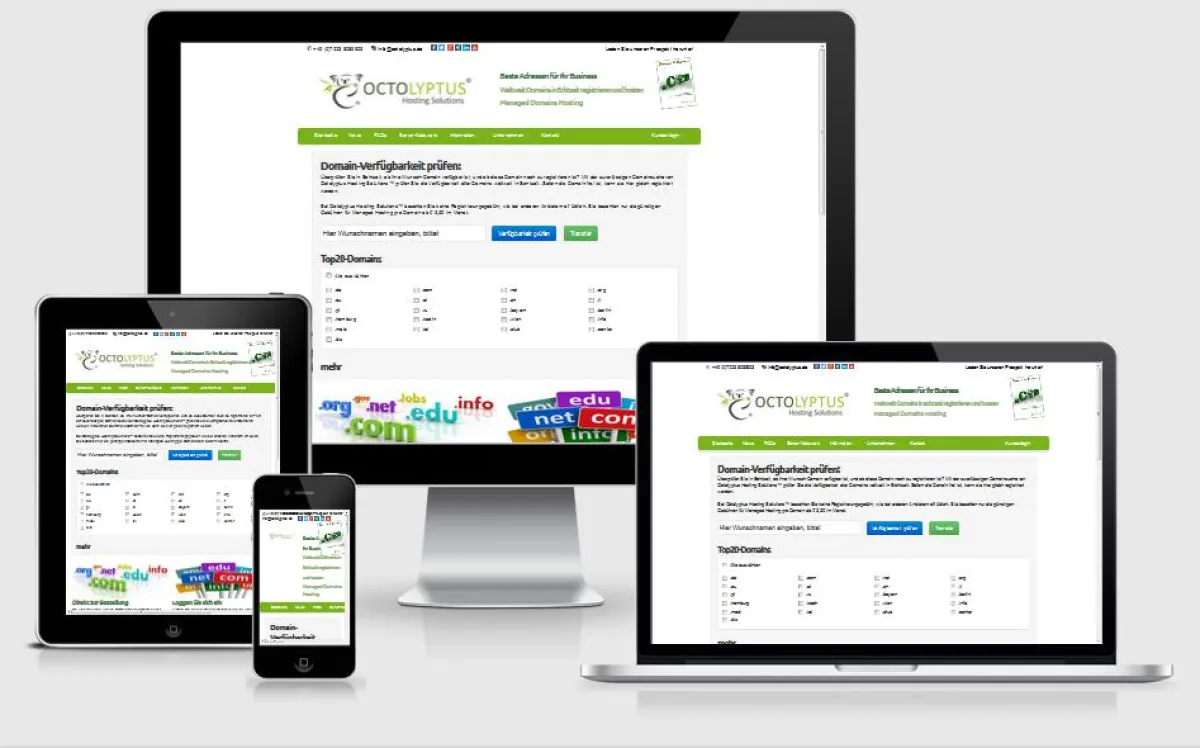 Octolyptus bietet Gewerbetreibenden Uuterstützung bei Aufbau und Verwaltung des Domain-Portfolios