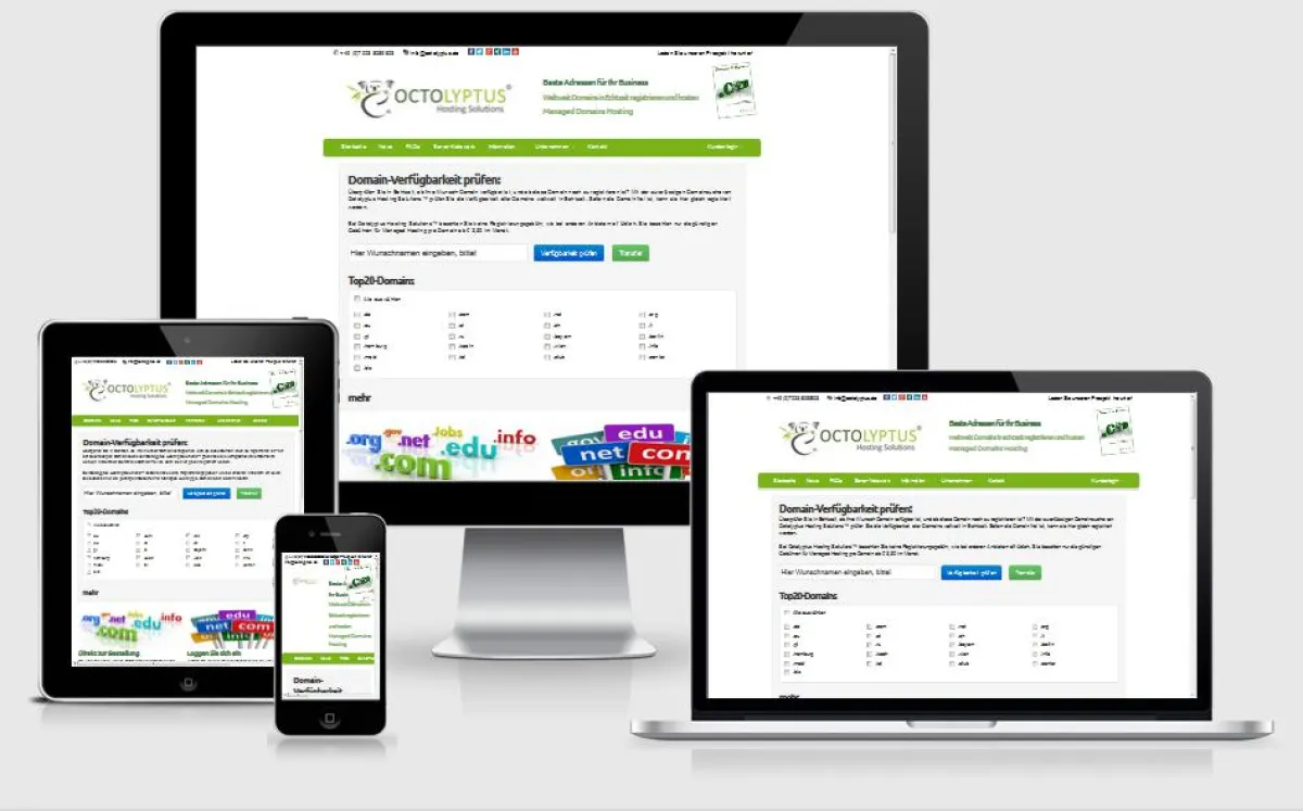 Octolyptus bietet Gewerbetreibenden Uuterstützung bei Aufbau und Verwaltung des Domain-Portfolios