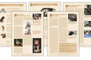 Das gibt's nur bei Animal-Coaching! Ausführliches Infomaterial ganz einfach zum downloaden Bild: Das gibt's nur bei Animal-Coaching! Ausführliches Infomaterial ganz einfach zum downloaden