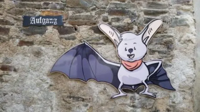 Bild: Freizeitattraktion im Naturpark Geschriebenstein: Fledermaus-Ausstellung für die ganze Familie