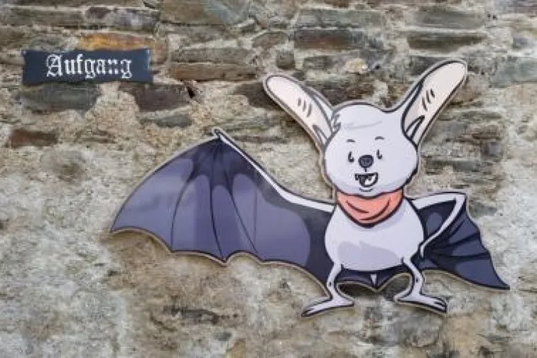 Freizeitattraktion im Naturpark Geschriebenstein: Fledermaus-Ausstellung für die ganze Familie Bild: Freizeitattraktion im Naturpark Geschriebenstein: Fledermaus-Ausstellung für die ganze Familie