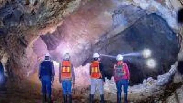 Bild: Anleger glauben weiter an Gold