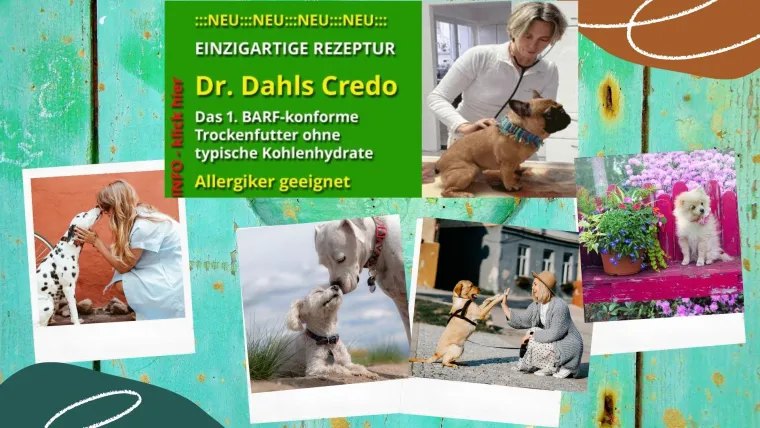 Bild: Hundefutter für sensible Hunde die Lösung 