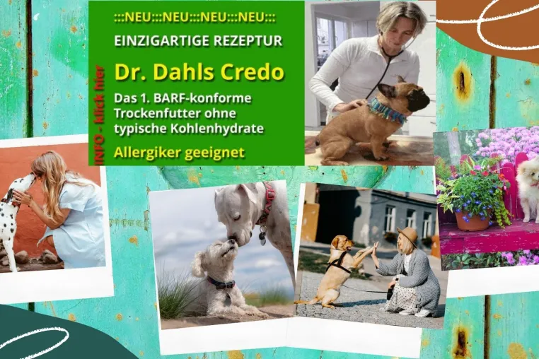 Bild: Hundefutter für sensible Hunde die Lösung 