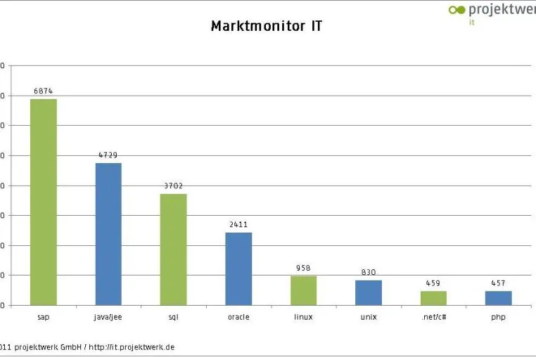 IT-Trends 2011 – Top Skills für Freelancer Bild: IT-Trends 2011 – Top Skills für Freelancer