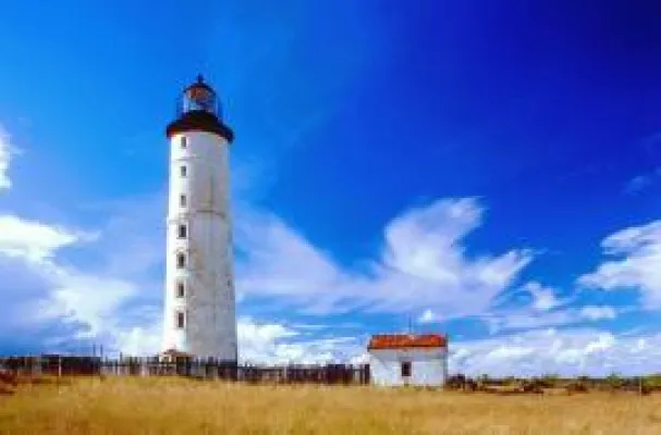 Bild: Tour Baltica: »Estland – Deutschland nach Finnland und Russland drittstärkste Besuchernation«
