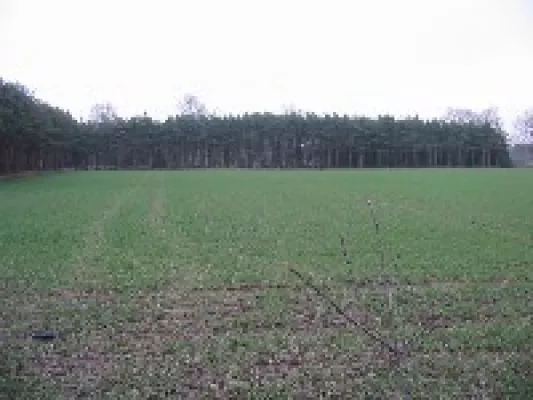 Bild: Projekt „baldwald“ in Niedersachsen startet 2006