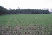 Projekt „baldwald“ in Niedersachsen startet 2006 Bild: Projekt „baldwald“ in Niedersachsen startet 2006